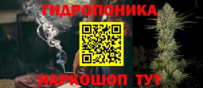 крисы Новодвинск