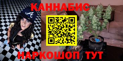 крисы Новодвинск