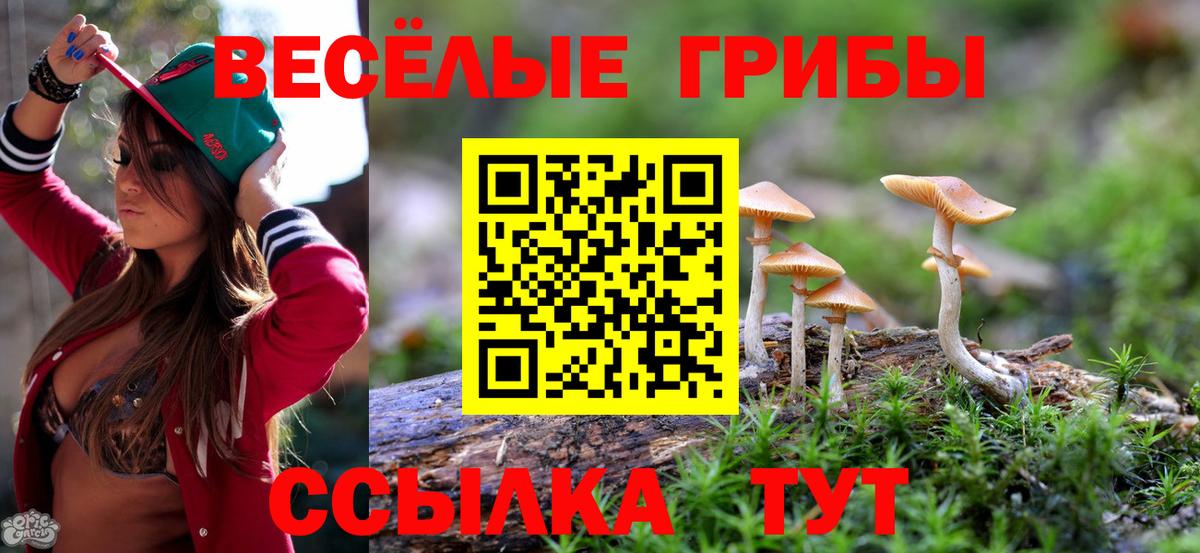 Псилоцибиновые грибы Psilocybe Семёнов